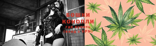 крисы Козельск