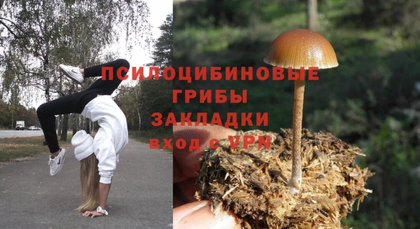 крисы Козельск
