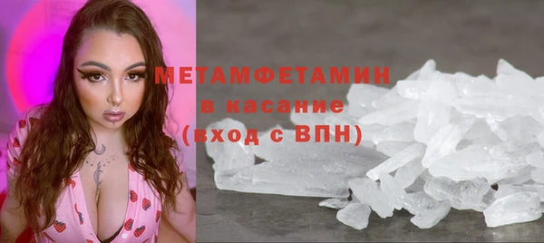 крисы Козельск