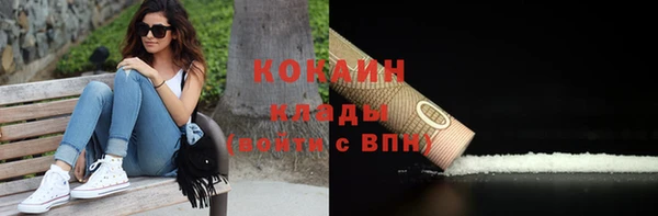 крисы Козельск