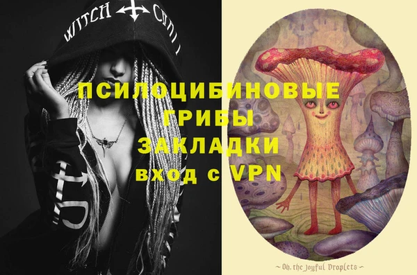 бошки Козловка