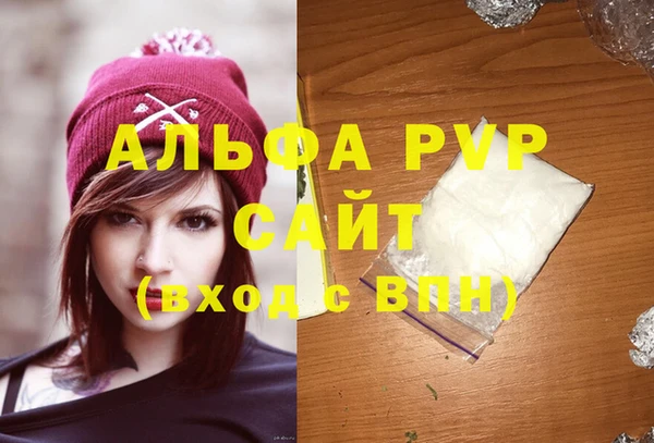 крисы Козельск