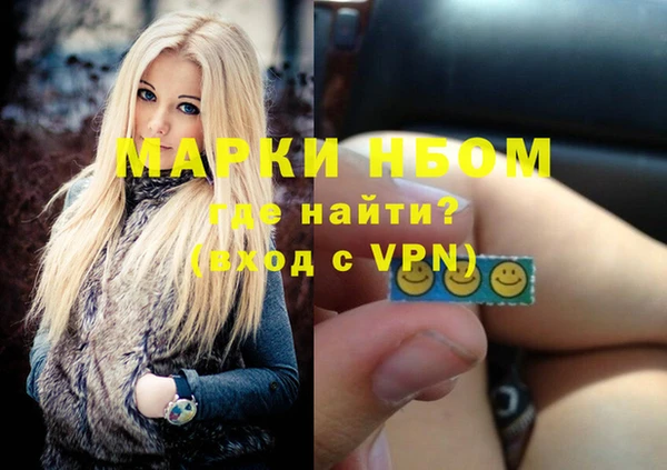 крисы Козельск