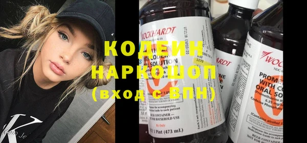 крисы Козельск