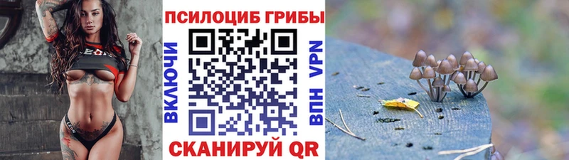 Купить закладки  Кемерово  Псилоцибиновые грибы Psilocybe 